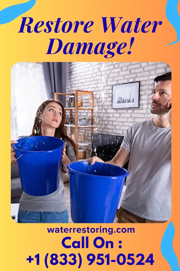 water restoration Citywide Disaster Cleanup Co Hasbrouck Heights