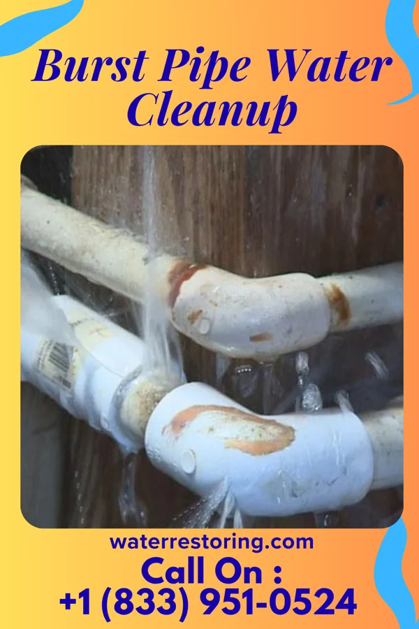Burst Pipe Water Cleanup in Hasbrouck Heights, NJ