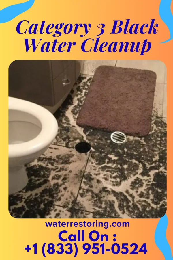 Category 3 Black Water Cleanup in Hasbrouck Heights, NJ