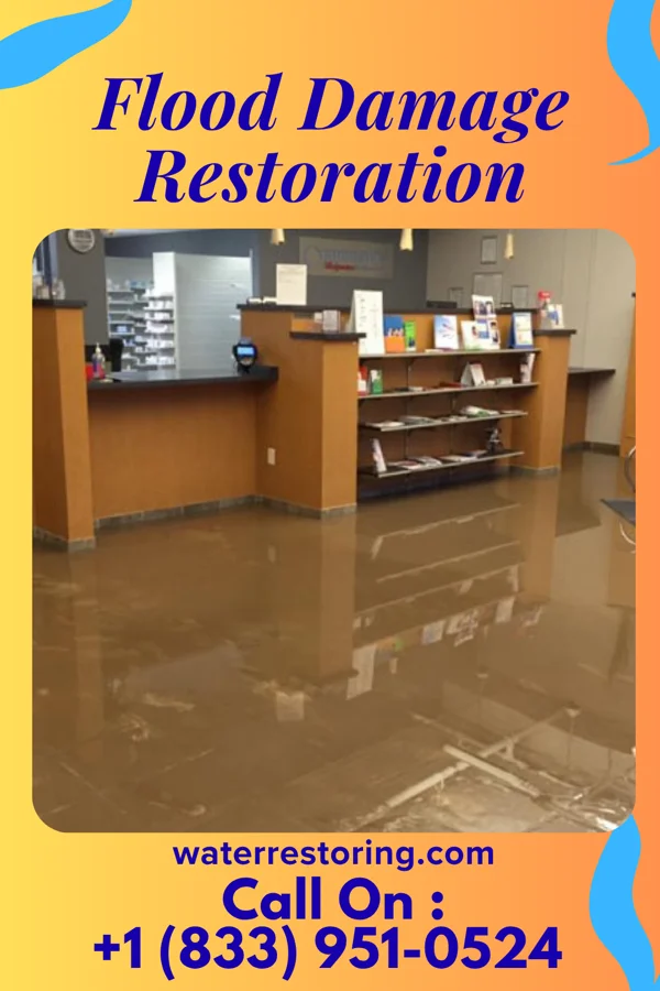 Flood Damage Restoration in Hasbrouck Heights, NJ
